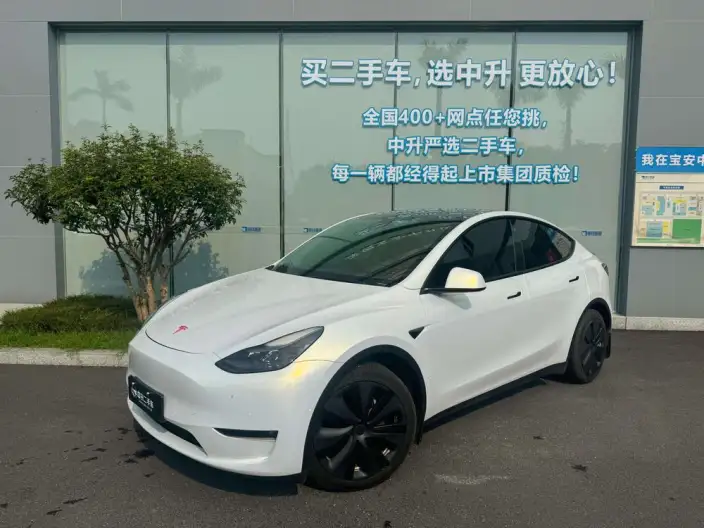 Model Y 2021 Model Standard Battery Life Rear-wheel drive version – фото 1