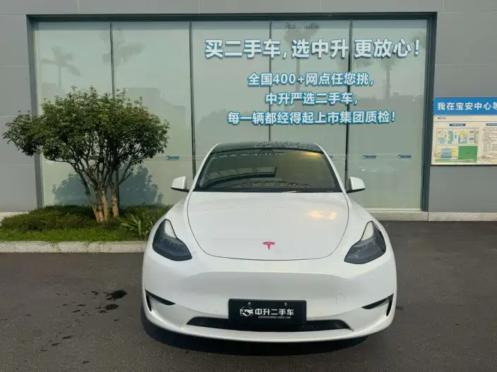 Model Y 2021 Model Standard Battery Life Rear-wheel drive version – фото 2
