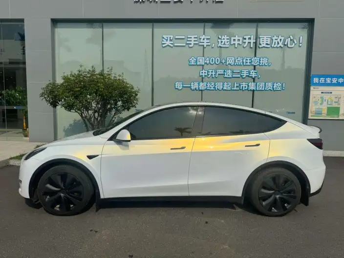 Model Y 2021 Model Standard Battery Life Rear-wheel drive version – фото 3