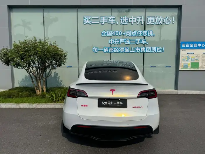 Model Y 2021 Model Standard Battery Life Rear-wheel drive version – фото 4
