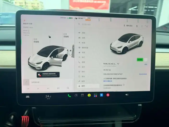 Model Y 2021 Model Standard Battery Life Rear-wheel drive version – фото 7