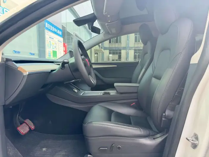 Model Y 2021 Model Standard Battery Life Rear-wheel drive version – фото 8