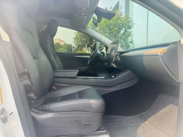 Model Y 2021 Model Standard Battery Life Rear-wheel drive version – фото 9