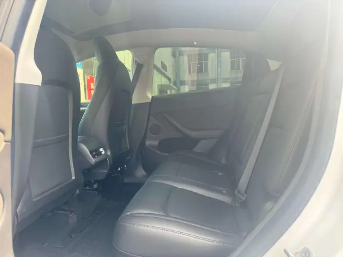 Model Y 2021 Model Standard Battery Life Rear-wheel drive version – фото 10