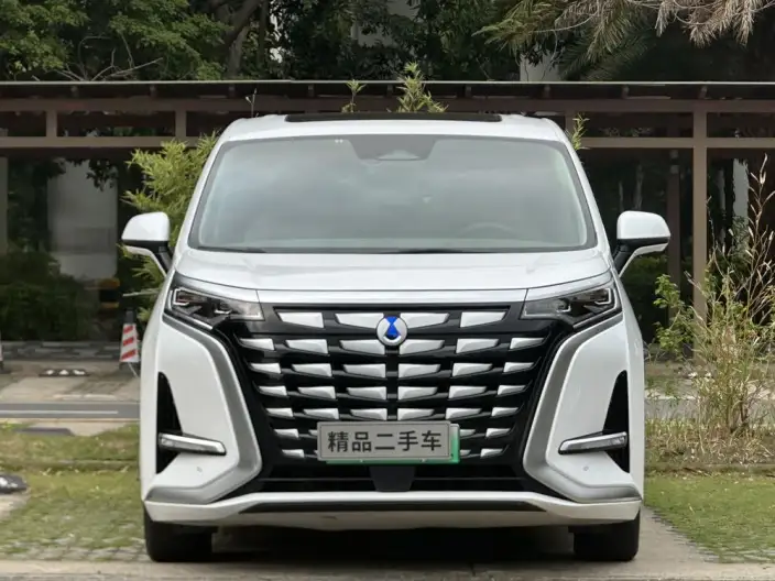 DENZA D9 DM 2022 Model 970 4WD Flagship Model – фото 2