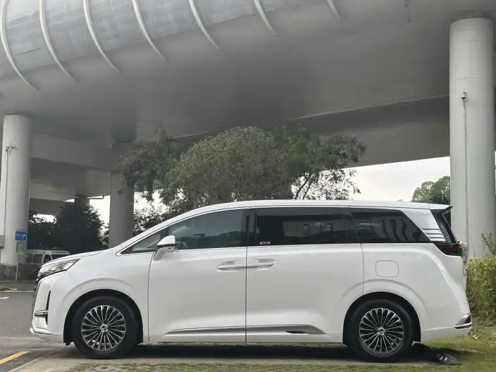 DENZA D9 DM 2022 Model 970 4WD Flagship Model – фото 4