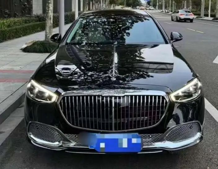 Mercedes-Maybach S-Class 2022 Model S 480 4MATIC Zhizhen Special Edition – фото 2