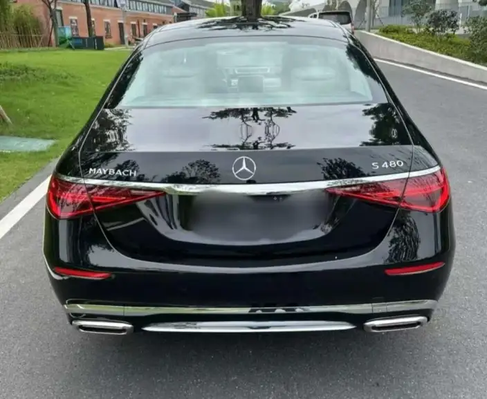 Mercedes-Maybach S-Class 2022 Model S 480 4MATIC Zhizhen Special Edition – фото 3