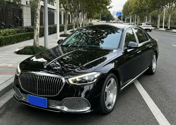 Mercedes-Maybach S-Class 2022 Model S 480 4MATIC Zhizhen Special Edition – фото 10