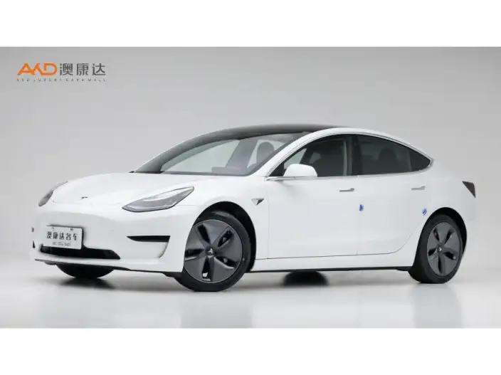 Model 3 2020 Model Facelift Standard Battery Life Rear Drive L Class Edition – фото 1