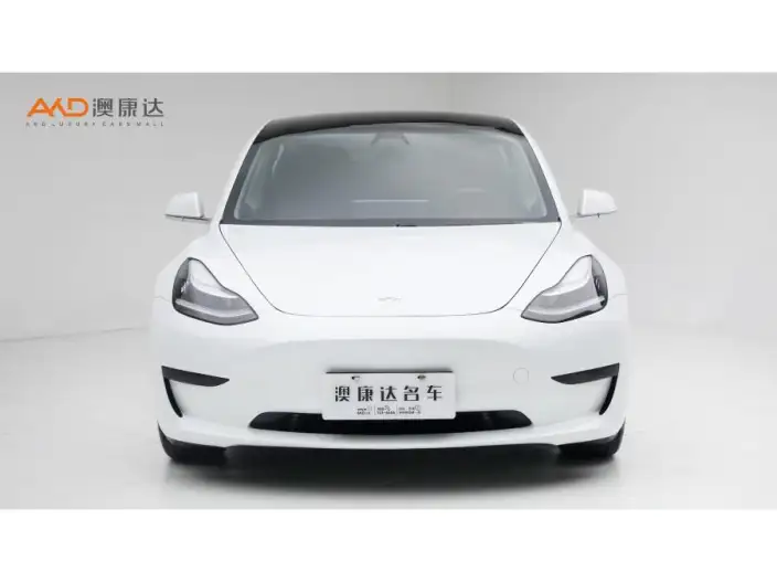 Model 3 2020 Model Facelift Standard Battery Life Rear Drive L Class Edition – фото 2