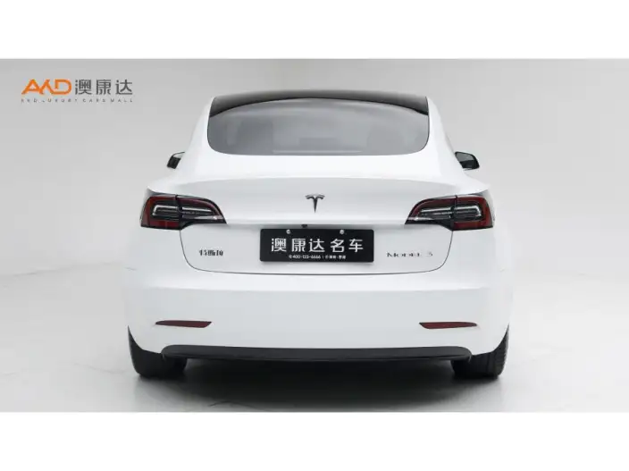 Model 3 2020 Model Facelift Standard Battery Life Rear Drive L Class Edition – фото 3