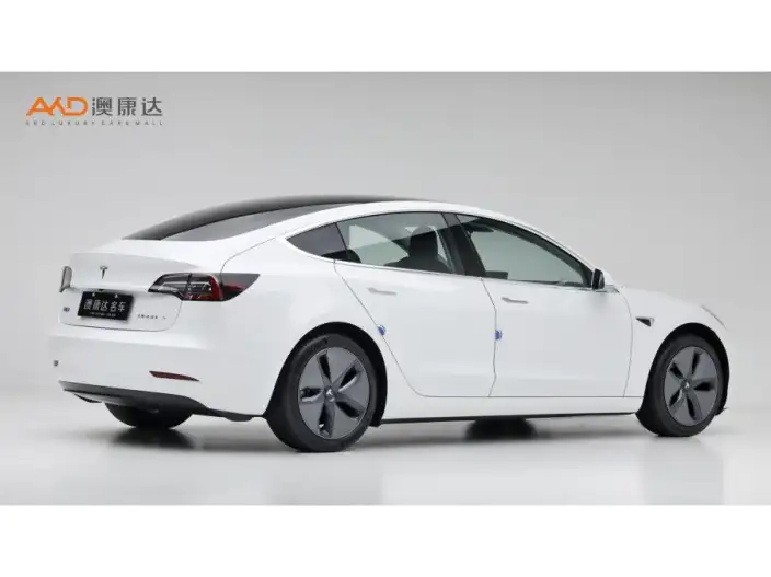 Model 3 2020 Model Facelift Standard Battery Life Rear Drive L Class Edition – фото 4