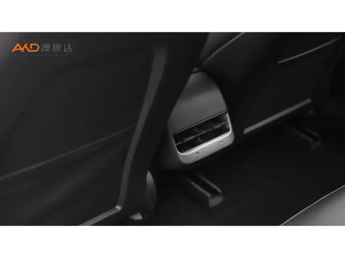 Model 3 2020 Model Facelift Standard Battery Life Rear Drive L Class Edition – фото 6