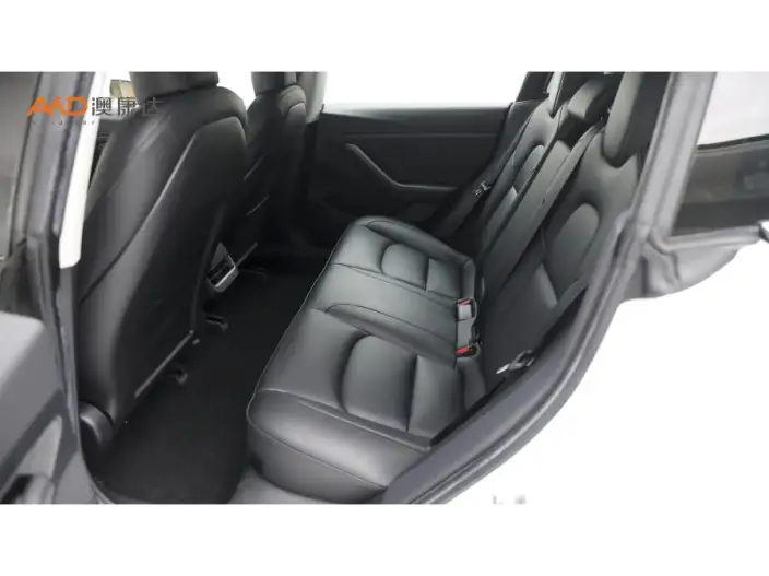 Model 3 2020 Model Facelift Standard Battery Life Rear Drive L Class Edition – фото 8