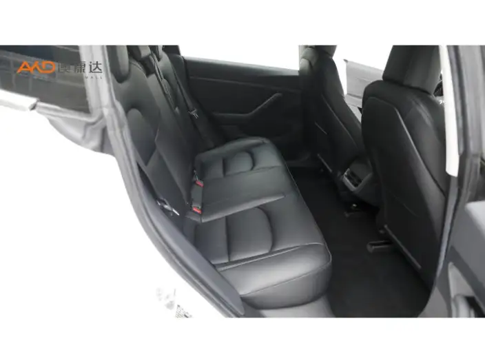 Model 3 2020 Model Facelift Standard Battery Life Rear Drive L Class Edition – фото 10