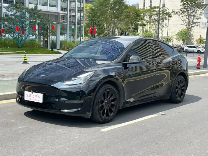 Model Y 2022 Model Rear-wheel drive version – фото 1
