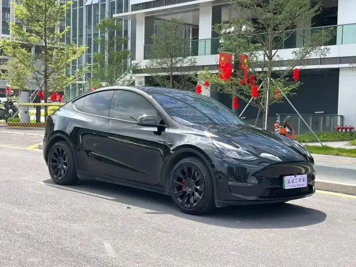 Model Y 2022 Model Rear-wheel drive version – фото 3