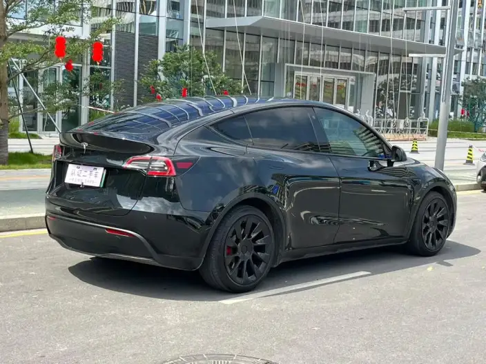 Model Y 2022 Model Rear-wheel drive version – фото 5