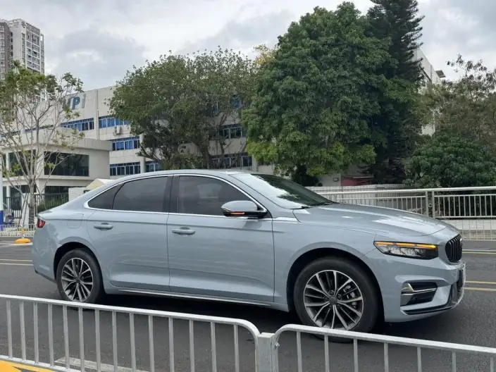 Geely StarRui 2023 Model 2.0T Luxury Model – фото 3