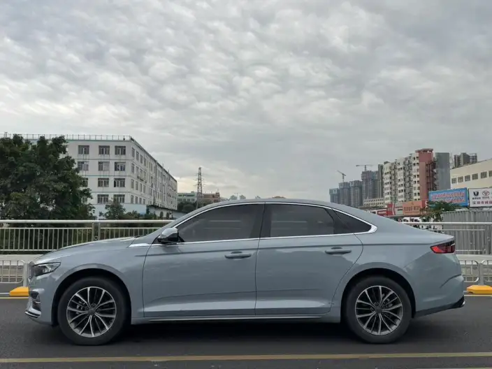 Geely StarRui 2023 Model 2.0T Luxury Model – фото 4