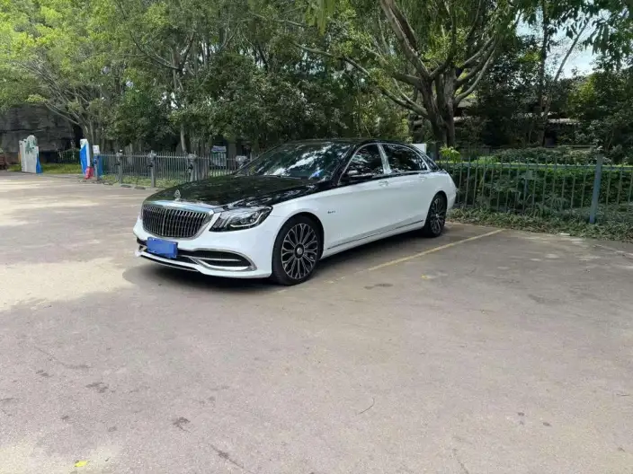 Mercedes-Maybach S-Class 2020 Model S 450 4MATIC Collector Edition Edition – фото 6