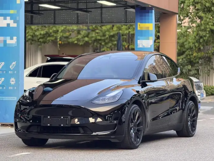 Model Y 2021 Model Long Battery Life Pro All-wheel drive version – фото 1