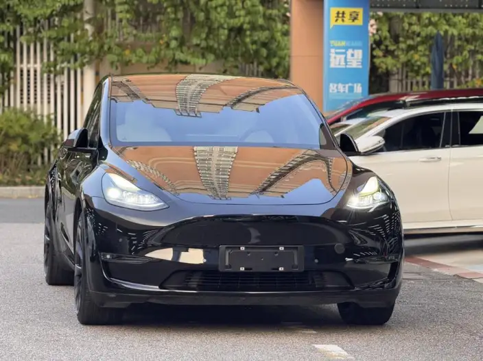 Model Y 2021 Model Long Battery Life Pro All-wheel drive version – фото 2