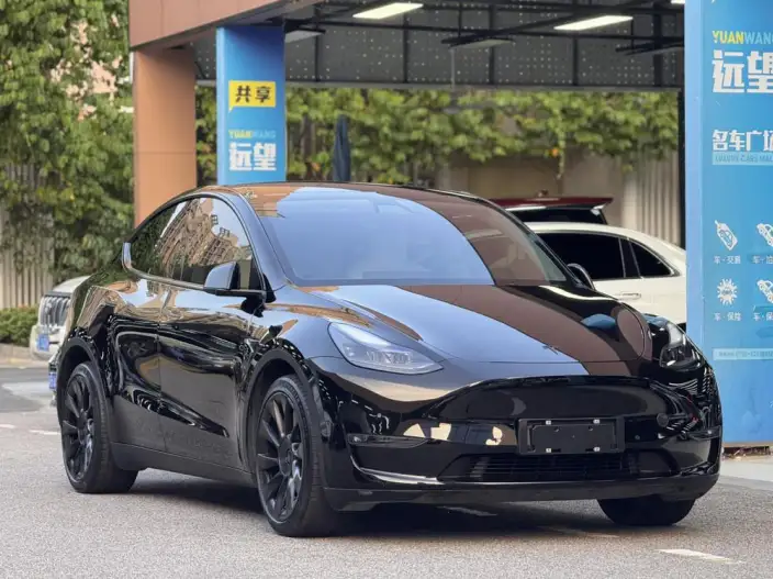 Model Y 2021 Model Long Battery Life Pro All-wheel drive version – фото 3