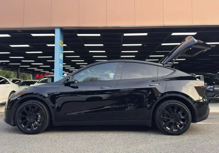 Model Y 2021 Model Long Battery Life Pro All-wheel drive version – фото 4