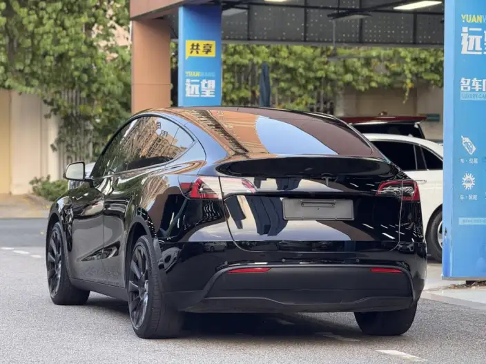 Model Y 2021 Model Long Battery Life Pro All-wheel drive version – фото 5