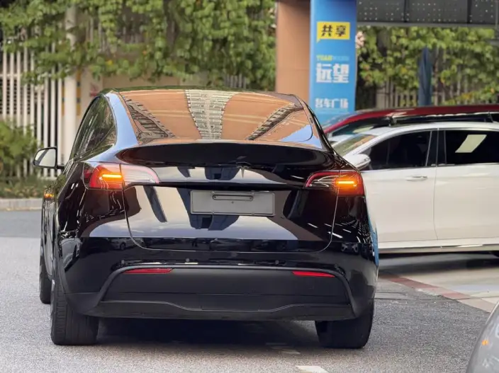 Model Y 2021 Model Long Battery Life Pro All-wheel drive version – фото 6
