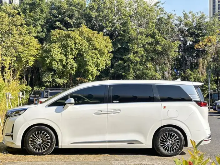 DENZA D9 DM 2022 Model 970 4WD Flagship Model – фото 4