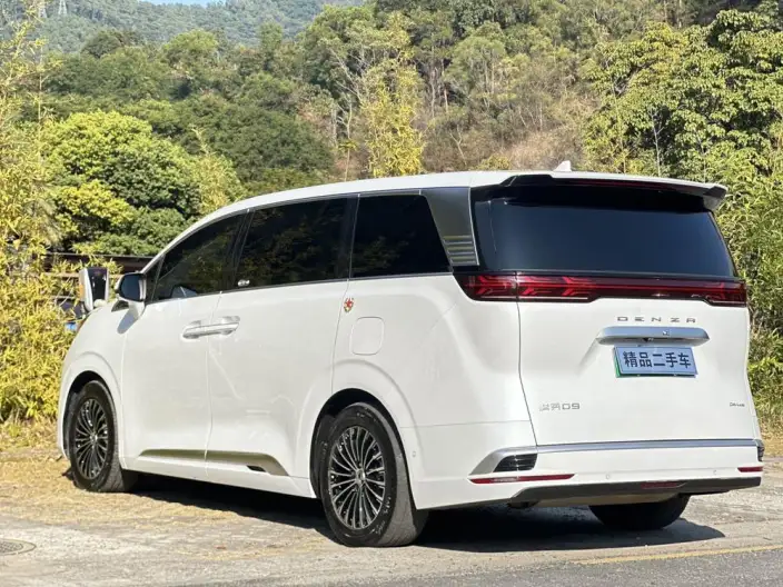 DENZA D9 DM 2022 Model 970 4WD Flagship Model – фото 5