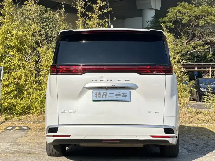 DENZA D9 DM 2022 Model 970 4WD Flagship Model – фото 6