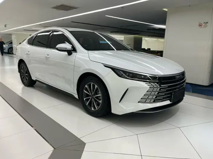 BYD Destroyer 05 2024 Model Honor Edition DM-i 55KM Luxury Model – фото 3