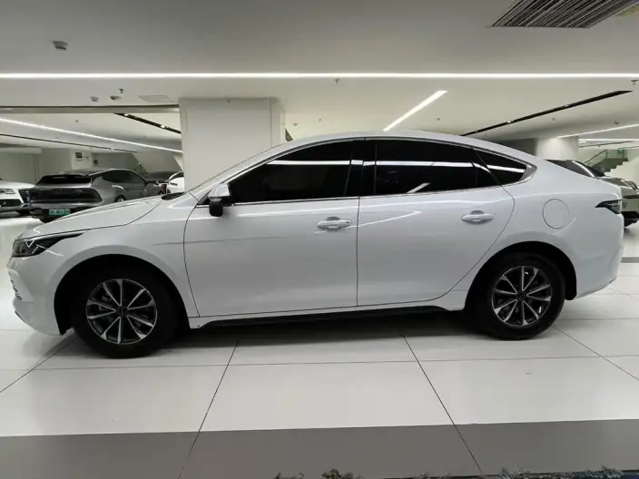 BYD Destroyer 05 2024 Model Honor Edition DM-i 55KM Luxury Model – фото 4