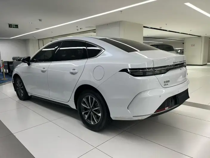 BYD Destroyer 05 2024 Model Honor Edition DM-i 55KM Luxury Model – фото 5