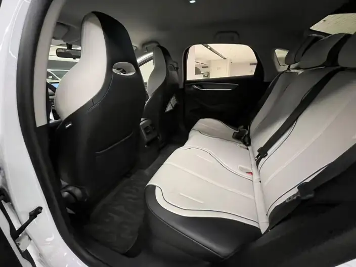 BYD Destroyer 05 2024 Model Honor Edition DM-i 55KM Luxury Model – фото 9