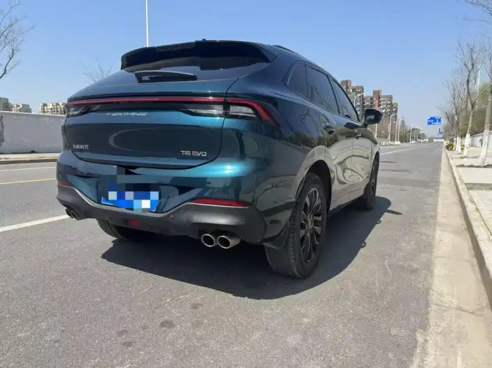 Fengxing T5 EVO 2021 Model 1.5TD DCT Platinum edition – фото 6