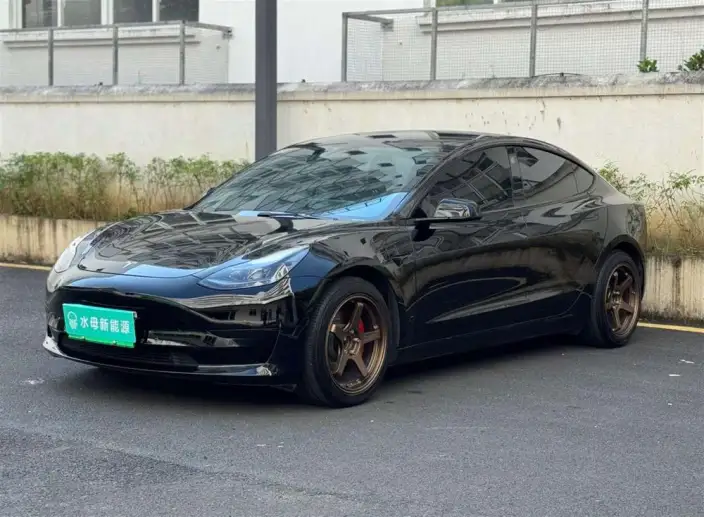 Model 3 2022 Model Rear-wheel drive version – фото 1