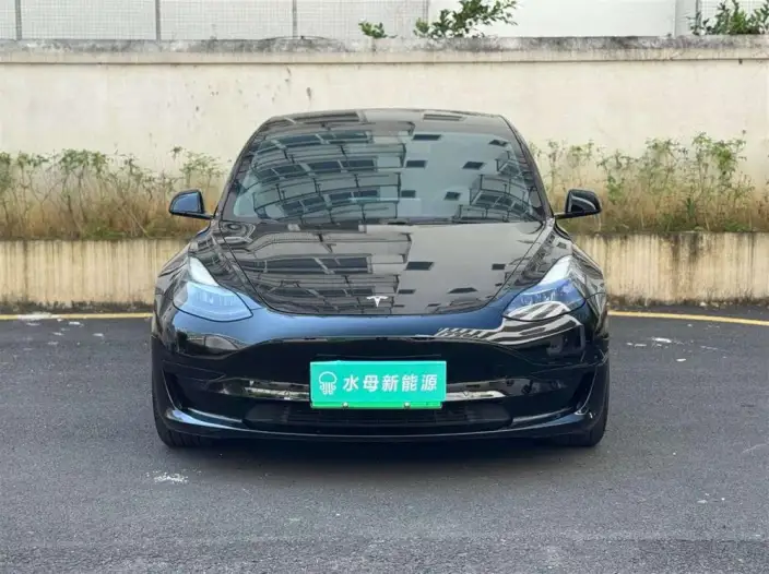 Model 3 2022 Model Rear-wheel drive version – фото 2