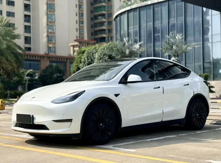 Model Y 2021 Model Standard Battery Life Rear-wheel drive version – фото 1