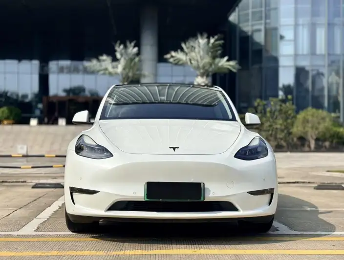 Model Y 2021 Model Standard Battery Life Rear-wheel drive version – фото 2