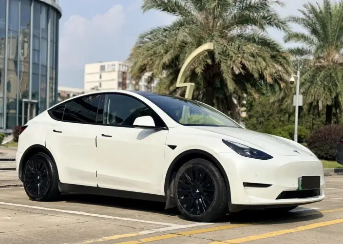Model Y 2021 Model Standard Battery Life Rear-wheel drive version – фото 3