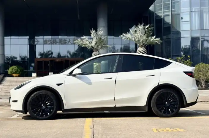 Model Y 2021 Model Standard Battery Life Rear-wheel drive version – фото 4