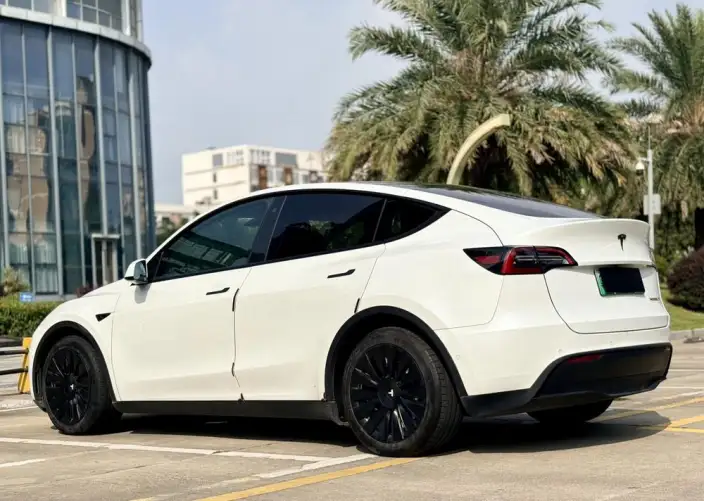 Model Y 2021 Model Standard Battery Life Rear-wheel drive version – фото 5