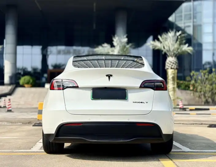 Model Y 2021 Model Standard Battery Life Rear-wheel drive version – фото 6