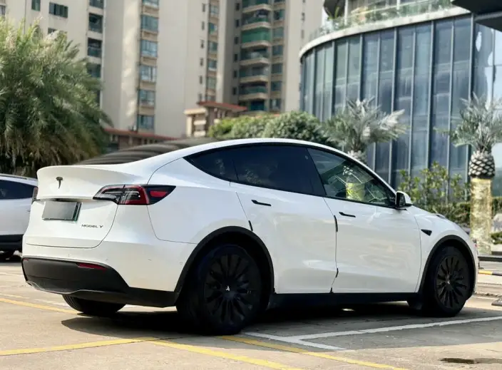 Model Y 2021 Model Standard Battery Life Rear-wheel drive version – фото 7
