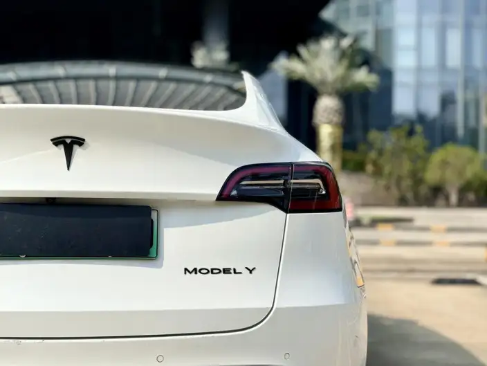 Model Y 2021 Model Standard Battery Life Rear-wheel drive version – фото 8